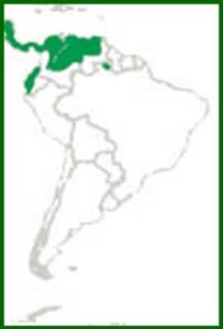 Mapa de distribución