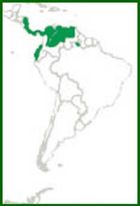 Mapa de distribución