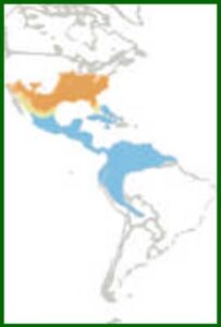 Mapa de distribución