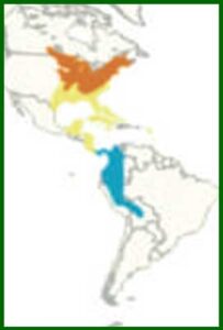 Mapa de distribución