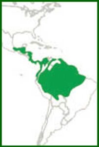 Mapa de distribución