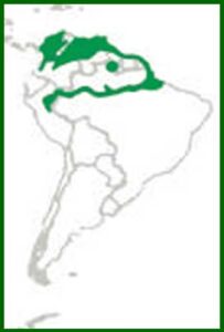 Mapa de distribución
