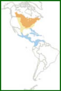 Mapa de distribución