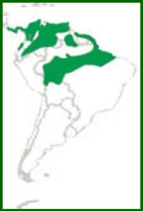 Mapa de distribución