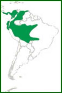 Mapa de distribución