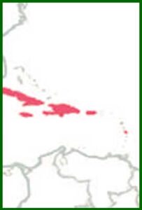 Mapa de distribución