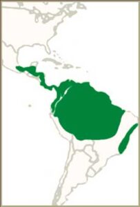 Mapa de distribución