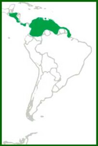 Mapa de distribución