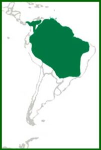 Mapa de distribución