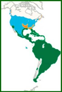 Mapa de distribución