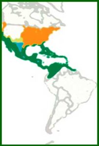 Mapa de distribución