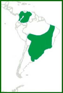 Mapa de distribución