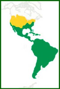 Mapa de distribución