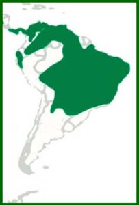 Mapa de distribución