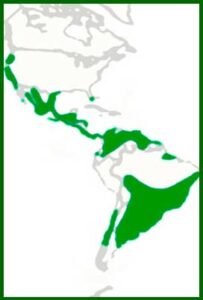 Mapa de distribución