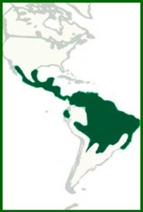 Mapa de distribución