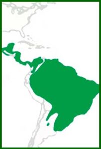 Mapa de distribución