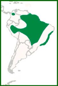 Mapa de distribución