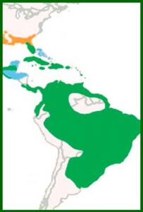 Mapa de distribución