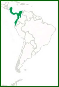 Mapa de distribución