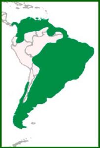 Mapa de distribución