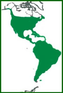 Mapa de distribución