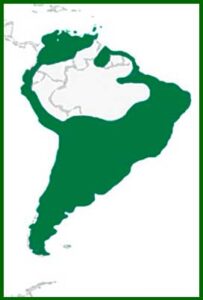 Mapa de distribución