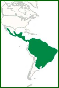 Mapa de distribución