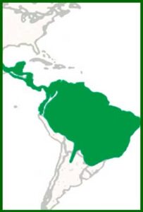 Mapa de distribución