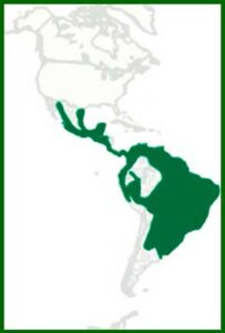 Mapa de distribución