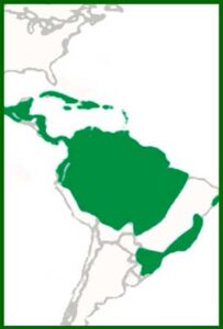 Mapa de distribución