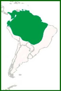Mapa de distribución