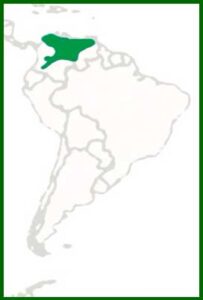 Mapa de distribución