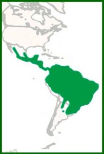 Mapa de distribución