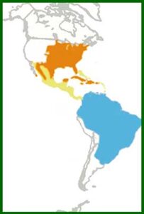 Mapa de distribución