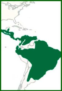 Mapa de distribución