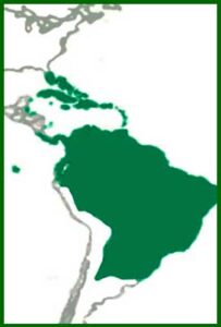 Mapa de distribución