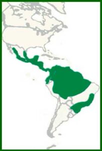 Mapa de distribución