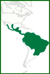 Mapa de distribución