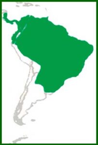 Mapa de distribución