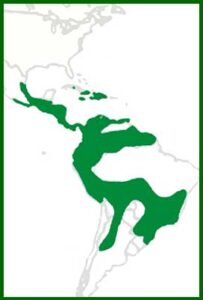 Mapa de distribución