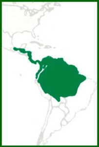 Mapa de distribución