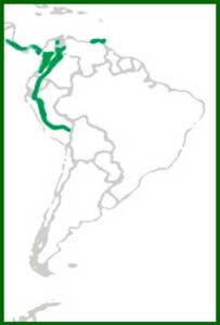 Mapa de distribución