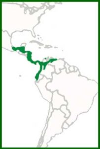 Mapa de distribución