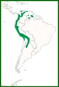 Mapa de distribución