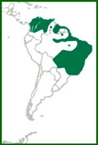 Mapa de distribución