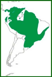 Mapa de distribución