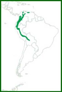 Mapa de distribución