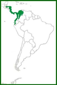 Mapa de distribución