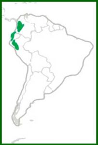 Mapa de distribución